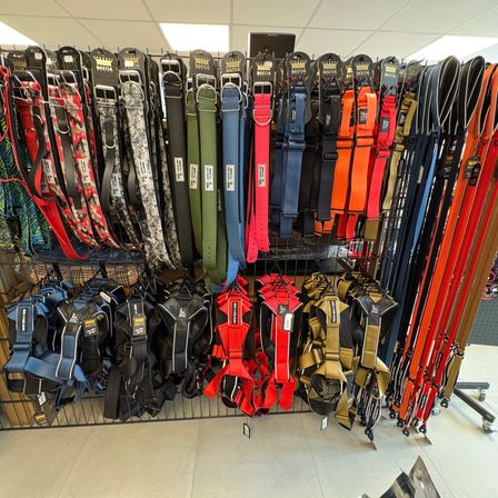 Eine Ausstellung verschiedener farbiger Hundegeschirre und Gürtel hängt an einem Verkaufsregal im Laden.