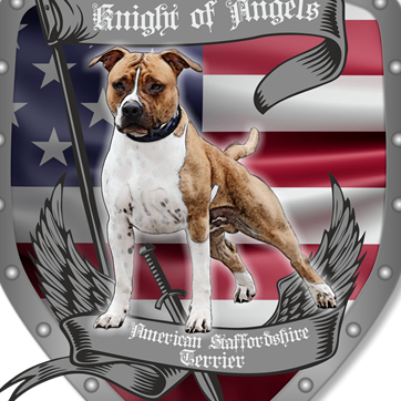 Schild mit amerikanischem Hintergrund und einem braun-weissen American Staffordshire Terrier mit einem Schwert in der Vorderansicht.