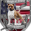Schild mit amerikanischem Hintergrund und einem braun-weissen American Staffordshire Terrier mit einem Schwert in der Vorderansicht.
