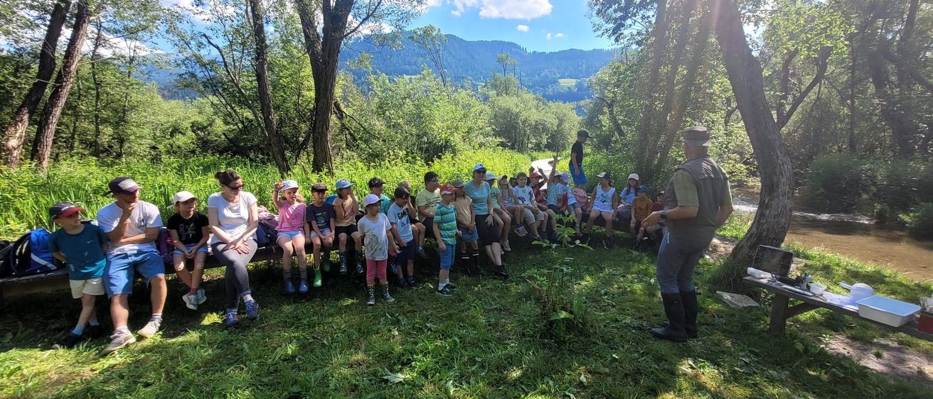 Eine Gruppe von Kindern und Erwachsenen sitzt auf einer Bank im Wald, mit Bergen im Hintergrund.