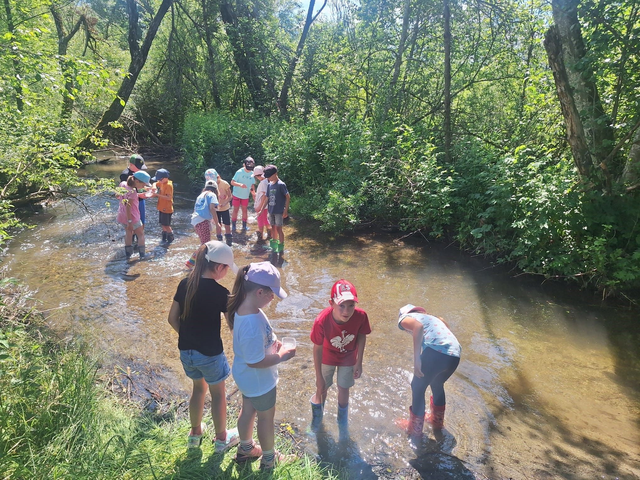 Eine Gruppe von Kindern steht in einem flachen Bach, einige tragen Mützen und Stiefel. Sie scheinen an einer Outdoor-Aktivität beteiligt zu sein, möglicherweise einem Naturspaziergang oder einem wissenschaftlichen Experiment.