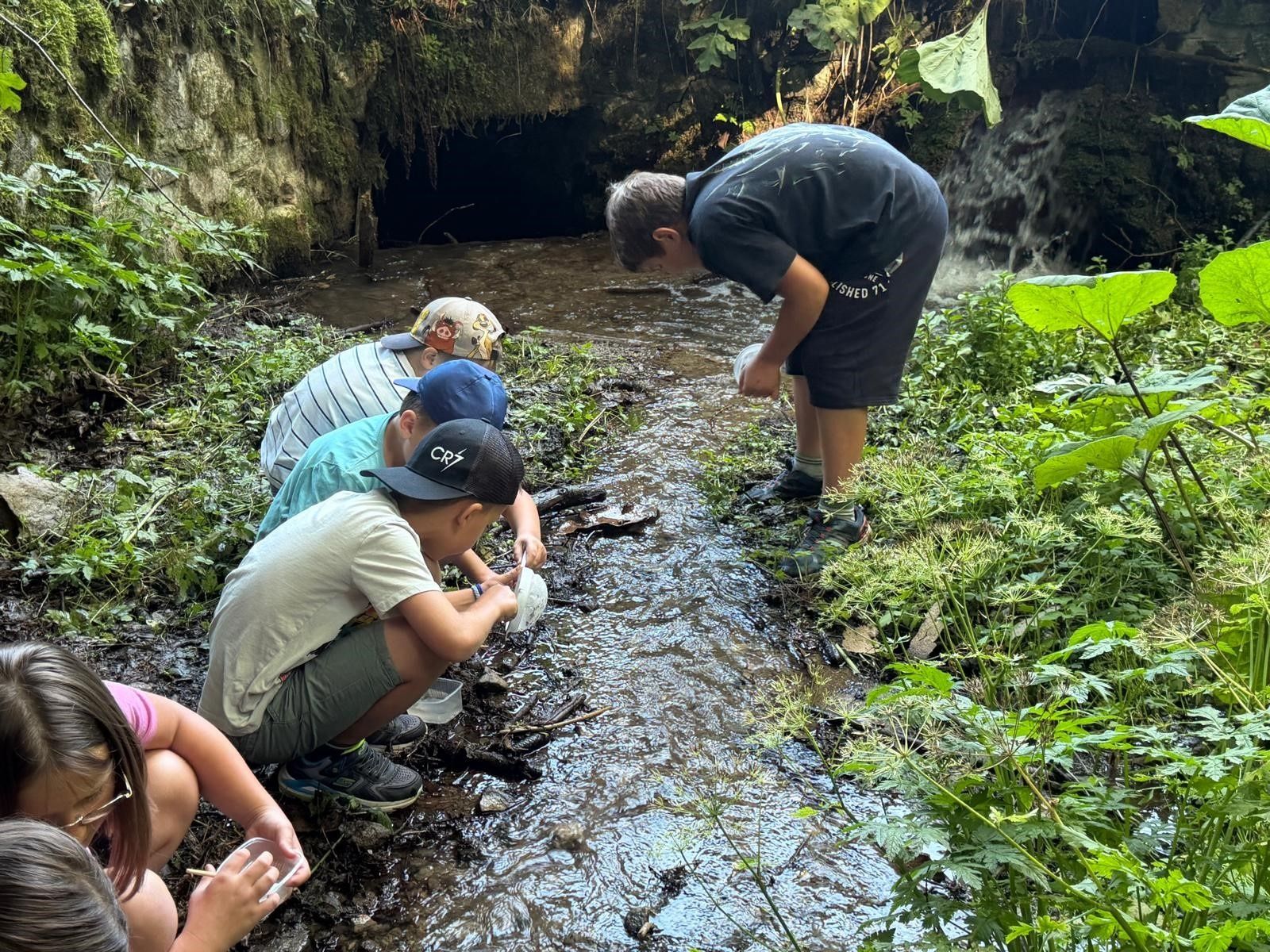 Vier Kinder untersuchen einen Bach im Wald, wobei sich ein Junge über das Wasser beugt, um genauer hinzusehen.