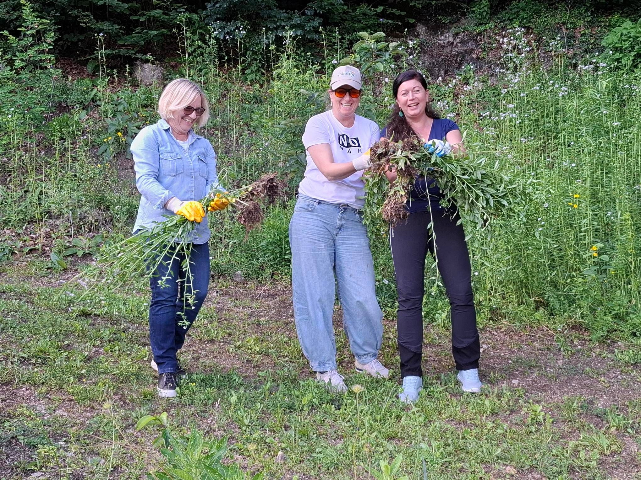 Drei Frauen stehen in einem Feld, halten Pflanzen mit Wurzeln und lächeln für ein Foto.