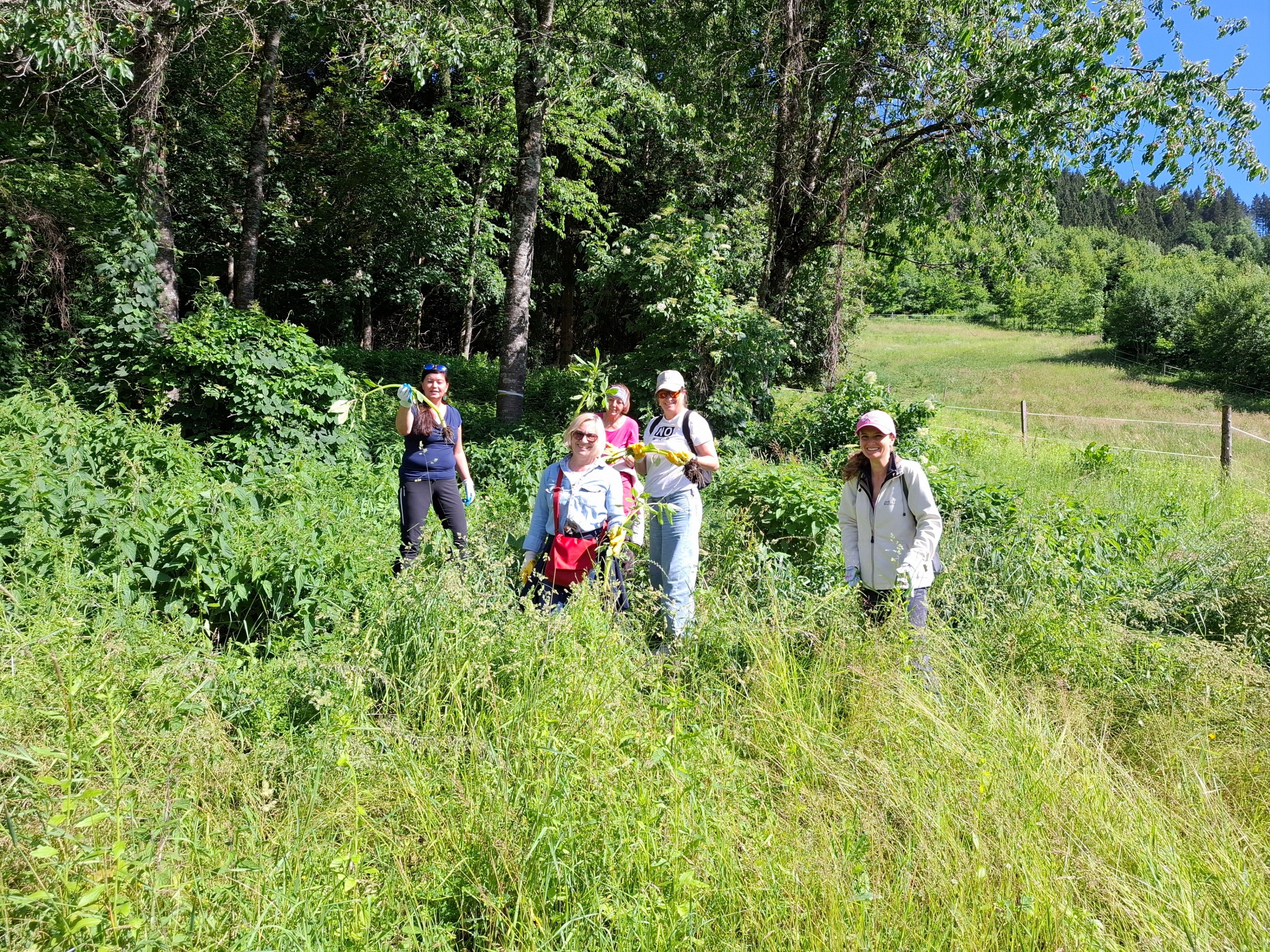 Fünf Personen stehen in einem Grasfeld und halten Pflanzen in der Hand. Sie tragen Handschuhe und scheinen an einer Gemeinschaftsreinigungsaktivität beteiligt zu sein. Im Hintergrund befinden sich Bäume und ein klarer Himmel.