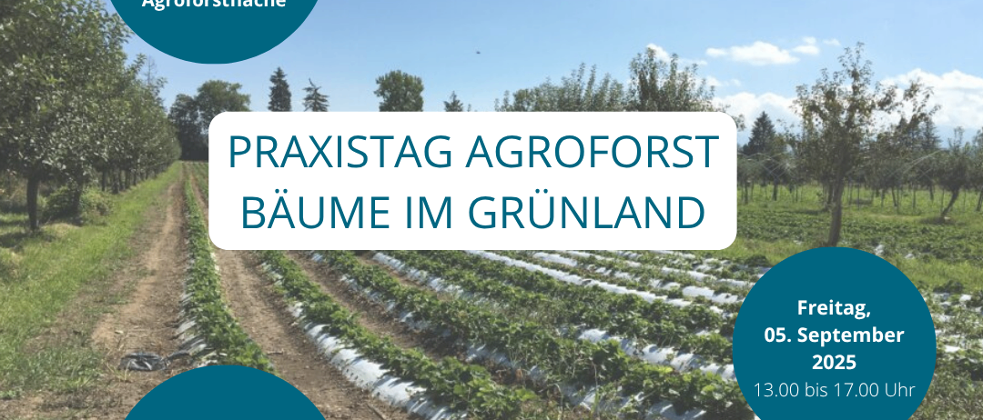 Werbeplakat für einen Praxistag zur Agroforstwirtschaft. Treffen am Biohof Watscher am Freitag, 5. September 2025, von 13:00 bis 17:00 Uhr. Enthält Logos und Sponsoren.