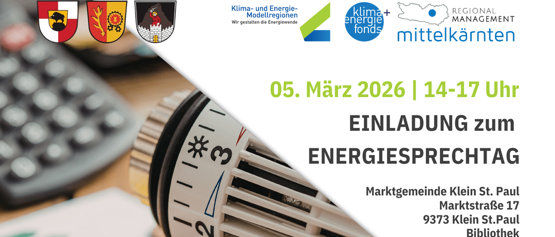 Eine Anzeige für einen Energiesprechtag bietet kostenlose individuelle Beratung zu Themen wie Heizungswartung, energieeffiziente Renovierungen und Fördermöglichkeiten. Die Veranstaltung wird von Mario Altenberg durchgeführt.