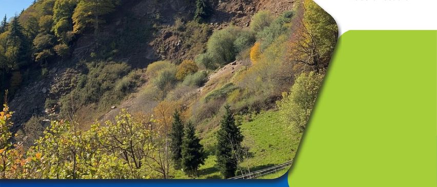 Die Gemeinde Gnesau lädt zur Fachveranstaltung mit Exkursion. Wie sichern wir rutschgefährdete Standorte? Welche Rolle spielen Pioniergehölze im Schutzwald? Und wie beeinflusst die Waldstruktur die Hangstabilität? Drei Experten beleuchten das Thema aus forstlicher, technischer und naturgefahrenfachlicher Perspektive mit anschließender Exkursion ins Gelände.