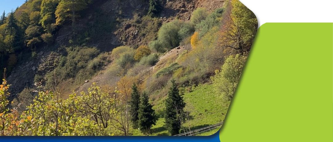 Die Gemeinde Gnesau lädt zur Fachveranstaltung mit Exkursion. Wie sichern wir rutschgefährdete Standorte? Welche Rolle spielen Pioniergehölze im Schutzwald? Und wie beeinflusst die Waldstruktur die Hangstabilität? Drei Experten beleuchten das Thema aus forstlicher, technischer und naturgefahrenfachlicher Perspektive mit anschließender Exkursion ins Gelände.