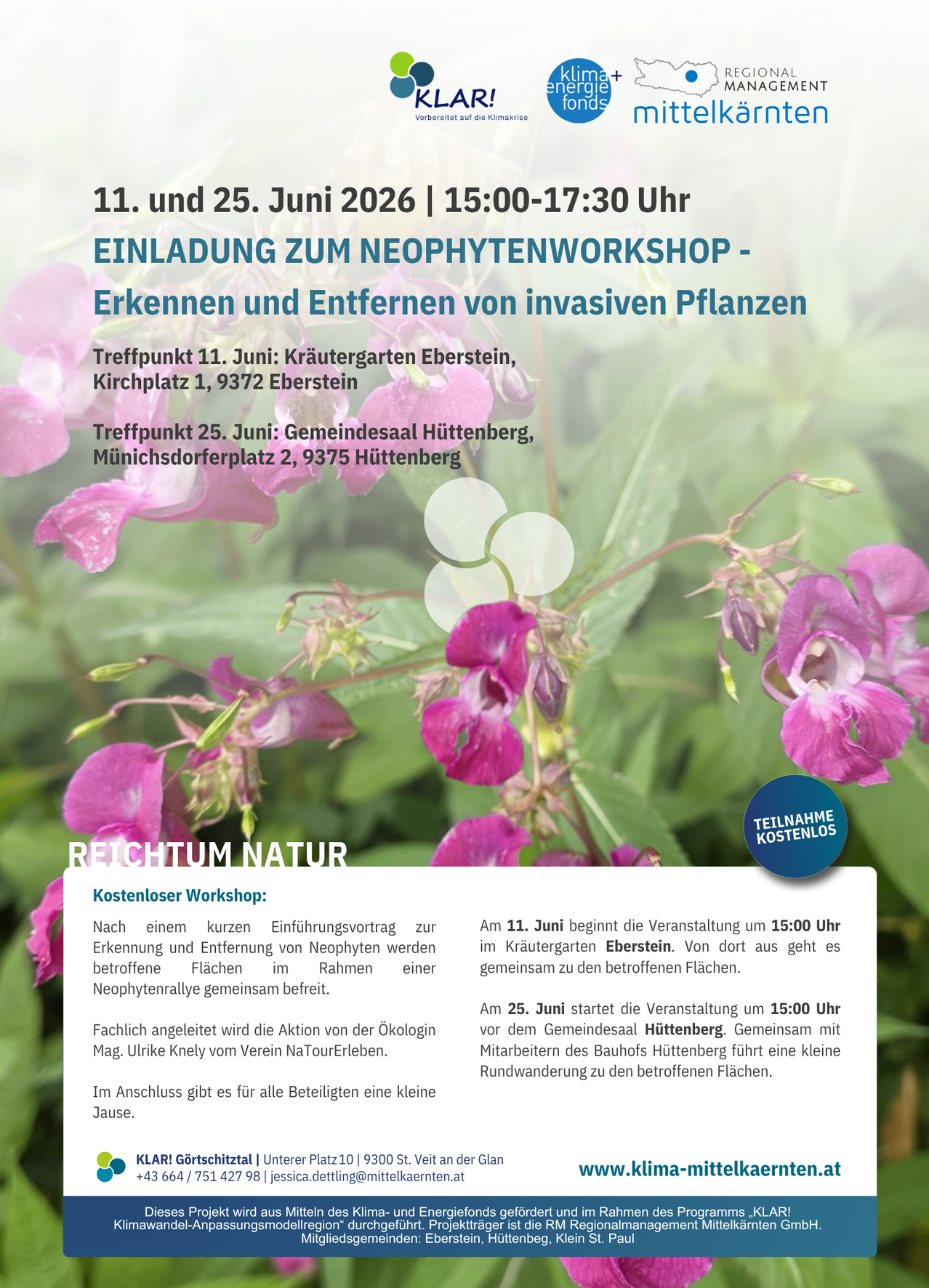 Einladung zum Neophytenworkshop am 11. und 25. Juni 2026 von 15:00 bis 17:30 Uhr. Erkennung und Entfernung invasiver Pflanzen. Treffpunkte: 11. Juni im Kräutergarten Eberstein, 25. Juni im Gemeindesaal Huttenberg.