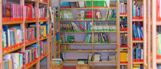 Furniture, Book, Indoors, Library, Publication, Bookcase, Architecture, Building