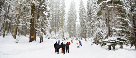 Menschen gehen in einem verschneiten Wald, einige tragen Schlitten und andere rodeln, umgeben von hohen, schneebedeckten Bäumen.