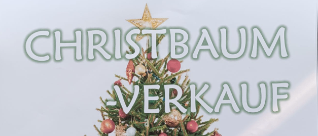 Bild enthält, Christmas, Christmas Decorations, Festival, Christmas Tree, Plant, Tree, Box
