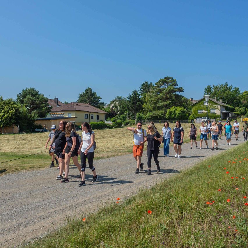Eine Gruppe von Menschen, gekleidet in Sportbekleidung, geht auf einem Kiesweg, umgeben von Grasfeldern mit Wildblumen. Bäume und Häuser sind im Hintergrund unter einem klaren blauen Himmel sichtbar.