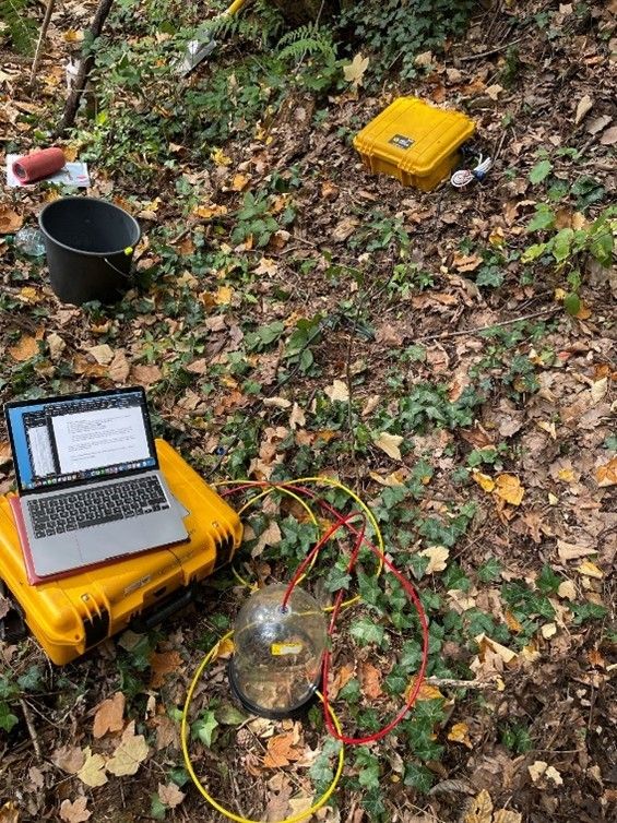 Ein offener Laptop auf einem gelben Gehäuse, umgeben von Kabeln, einem Eimer und einem gelben Kasten mit Drähten auf einem von Laub bedeckten Waldboden.