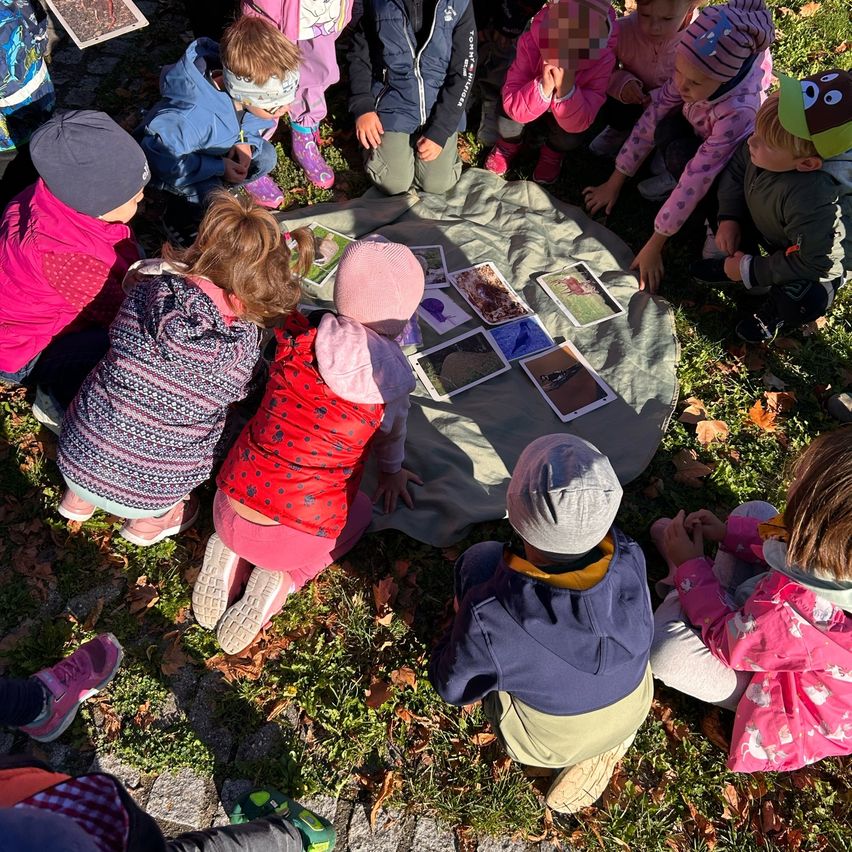 Kinder sitzen im Kreis auf dem Gras und schauen sich Bilder an. Einige tragen Mützen und Turnschuhe. Eine graue Decke liegt auf dem Boden mit weiteren Bildern.