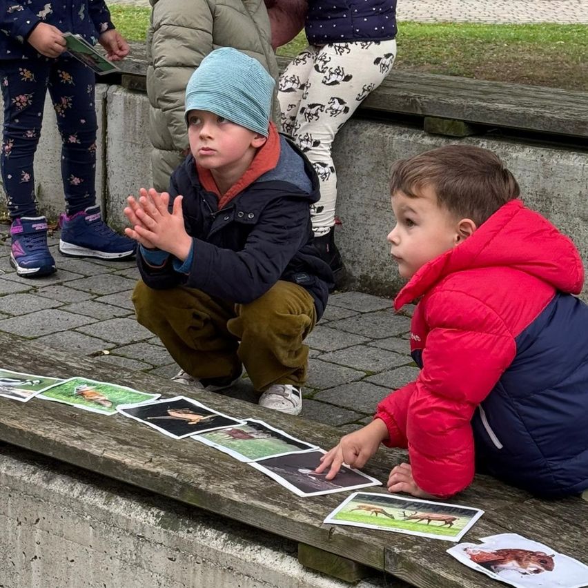 Mehrere Kinder sitzen auf einer Bank und schauen sich eine Reihe von Bildern auf dem Boden an. Ein Junge in einer blauen Mütze klatscht.