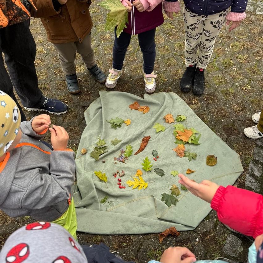 Kinder sind um einen grünen Stoff auf dem Boden versammelt und untersuchen Blätter und kleine Objekte darauf. Einige tragen Turnschuhe, andere Stiefel. Ein Kind zeigt auf den Stoff.