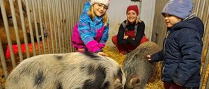 Bild enthält, Adult, Female, Person, Woman, Pig, Hog, Child, Girl, Hat, Coat