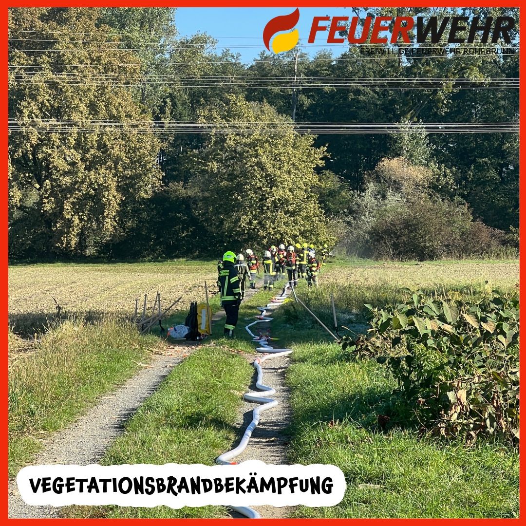 Eine Gruppe Feuerwehrleute in gelben Uniformen ist auf einem Grasfeld zu sehen. Sie sind durch Schläuche verbunden und bekämpfen möglicherweise einen Vegetationsbrand. Im Hintergrund befinden sich Bäume und Strommasten.