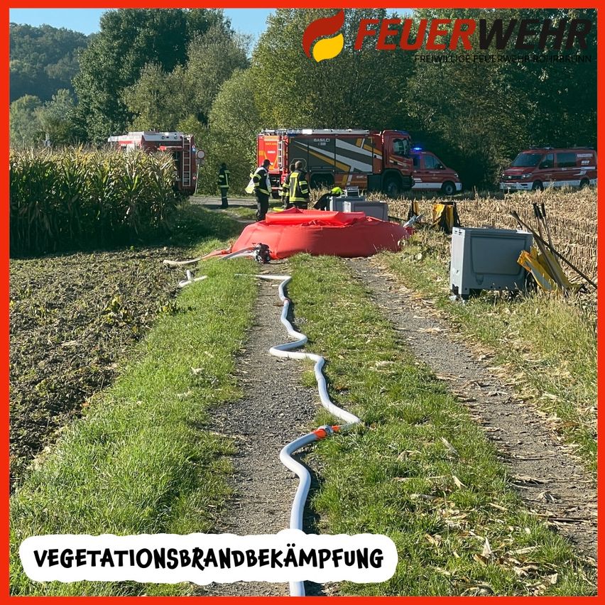 Ein Feuerwehrauto ist am Rand eines Maisfeldes geparkt, mit Feuerwehrleuten in der Nähe. Ein Schlauch liegt auf dem Boden. Es sind mehrere Fahrzeuge am Rand des Feldes geparkt.