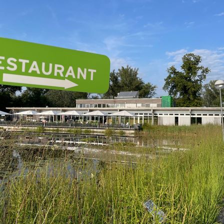 Bild enthält, Water, Waterfront, Nature, Outdoors, Scenery, Airport, Grass, Terminal, Land, Pier