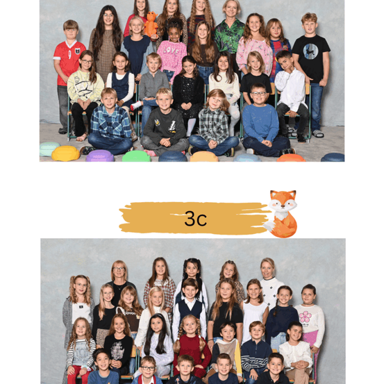 Zwei Bilder zeigen ein Klassenzimmer mit Kindern, eines mit der Aufschrift '3c' und einem Fuchs. Das obere Foto zeigt eine vielfältige Gruppe von Kindern, die in Stühlen sitzen, lächeln und für ein Foto posieren.