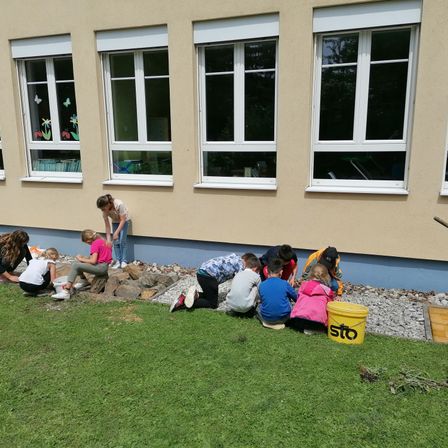 Bild enthält, Grass, Plant, Person, Child, Female, Girl, Lawn, Window, Outdoors