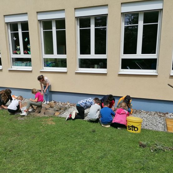 Bild enthält, Grass, Plant, Person, Child, Female, Girl, Lawn, Window, Outdoors