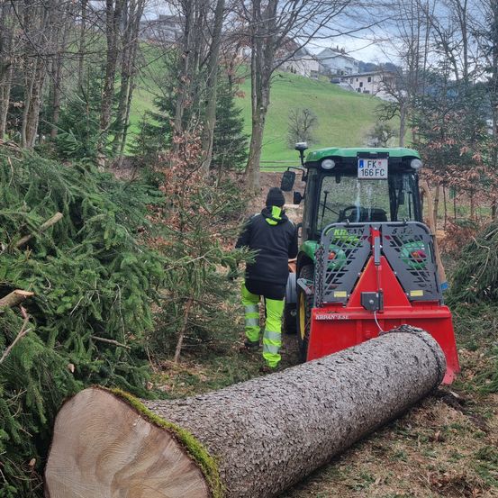 Bild enthält, Wood, Tree, Lumber, Adult, Male, Man, Person, Fir, Wheel, Conifer