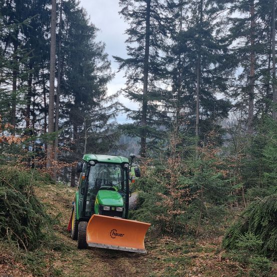 Bild enthält, Plant, Tree, Soil, Fir, Machine, Wheel, Vegetation, Tractor, Bulldozer, Outdoors