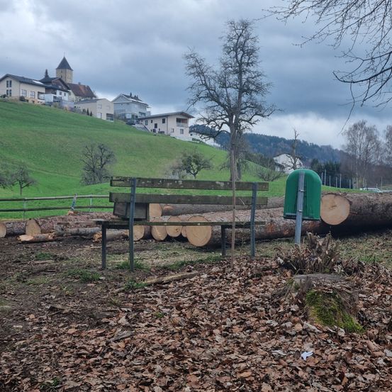 Bild enthält, Wood, Bench, Furniture, Plant, Tree, Lumber, Outdoors, Ground, Wheel, Nature