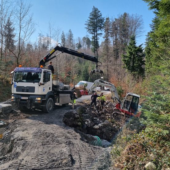 Bild enthält, Transportation, Truck, Vehicle, Person, Soil, Plant, Tree, Machine, Wheel, Fir