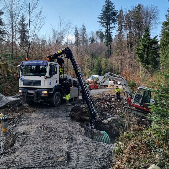 Bild enthält, Person, Plant, Tree, Soil, Machine, Wheel, Fir, Transportation, Truck, Vehicle