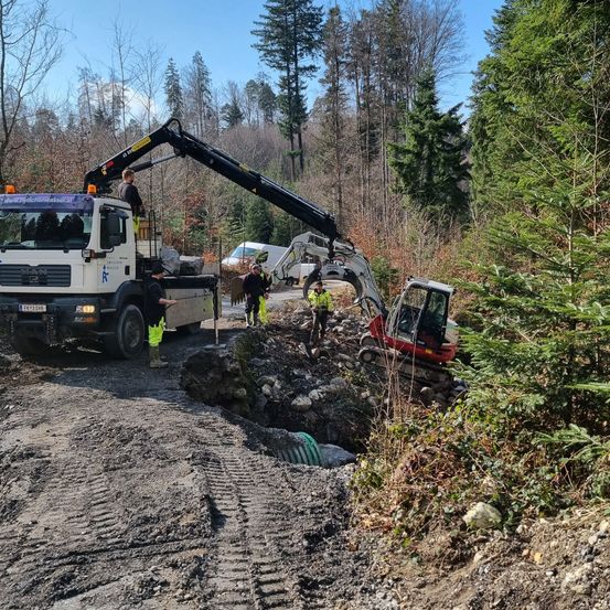 Bild enthält, Soil, Person, Plant, Tree, Machine, Wheel, Outdoors, Transportation, Truck, Vehicle