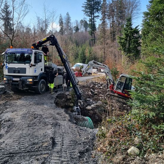 Bild enthält, Person, Plant, Tree, Machine, Wheel, Transportation, Vehicle, Soil, Bulldozer, Truck