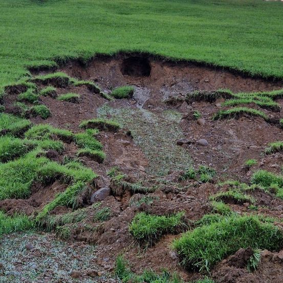 Eine kreisförmige Vertiefung mit unebenen Kanten und freiliegendem Boden befindet sich in der Mitte eines Rasenfeldes. Die Vertiefung ist mit Wasser gefüllt.