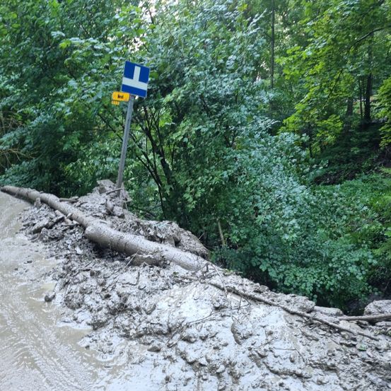 Ein schlammiger Straßenrand mit einem umgestürzten Wegweiser, umgeben von dichtem grünem Laub. Der Wegweiser zeigt eine blau-weiße Flagge mit einem Buchstaben 'F'.