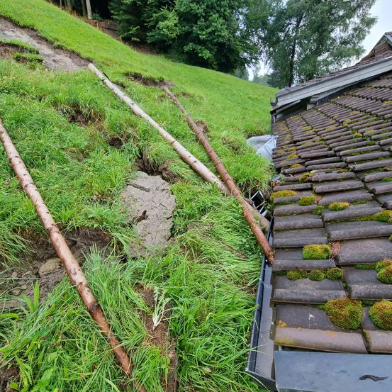 Ein Hang mit Gras, umgestürzten Baumstämmen und einem beschädigten Dachrinnen. In der Nähe ein mit Moos bedeckter Ziegeldach. Bäume und Grün im Hintergrund.