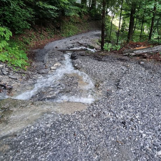 Ein schmaler Schotterweg mit fließendem Wasser, umgeben von üppiger Grünfläche und Bäumen.