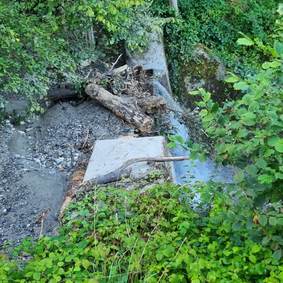Ein kleiner Bach fließt durch ein felsiges Waldgebiet. Er hat eine Betonbarriere mit einem Baumstamm, der darüber liegt. Die Umgebung ist üppig mit Grün bewachsen.