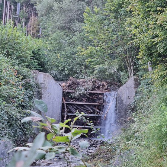 Ein Wasserfall fließt durch eine Betonstruktur im Wald, umgeben von Grün.