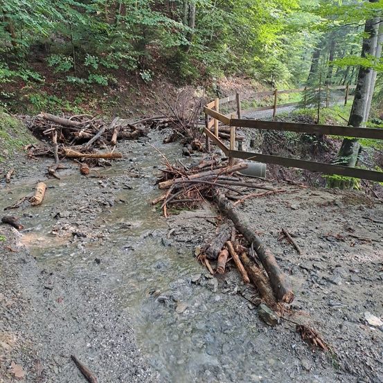Ein schlammiger Waldweg mit umgestürzten Ästen und Trümmern. Ein Holzzaun verläuft rechts entlang, mit einem schmalen Pfad, der in den Wald führt.