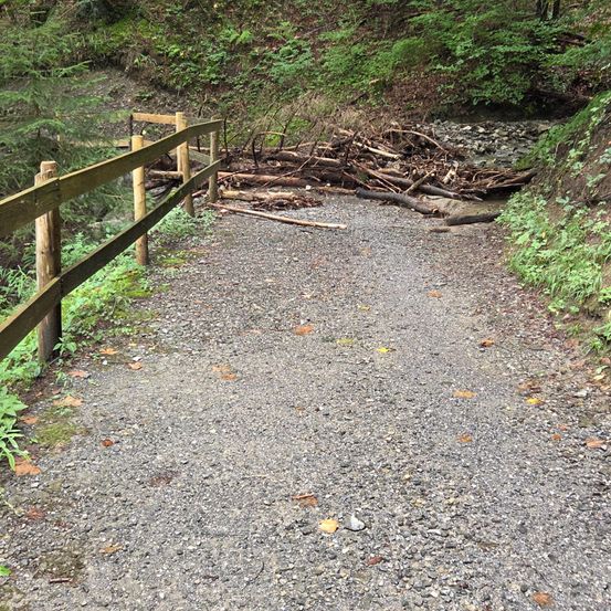 Ein Kiesweg mit einem Holzzaun neben ihm, der zu einem kleinen Bach mit Holz und Steinen an der Seite führt.