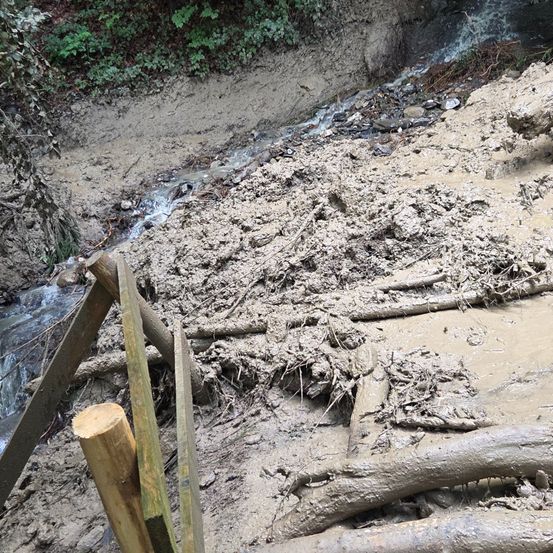 Ein schlammiger Bereich mit verstreuten Baumstämmen und Trümmern. Wasser fließt von links. Holzpfosten sind teilweise vergraben.