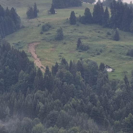 Luftaufnahme einer hügeligen Landschaft mit dichten Wäldern, einem kleinen Erdweg und zwei kleinen Häusern. Der Boden ist mit grünem Gras und Nebelflecken bedeckt.