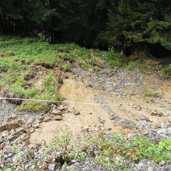 Ein schmutziger Pfad mit Steinen und Gras an den Seiten, der in einen bewaldeten Bereich mit hohen Bäumen führt.