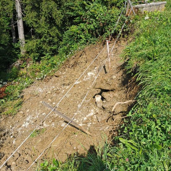 Ein Hang mit freiliegendem Boden und Felsen, der Anzeichen von Erosion zeigt. Mehrere weiße Pfähle und Drähte sind sichtbar, was darauf hindeutet, dass das Gebiet möglicherweise unter Beobachtung oder Schutz steht.