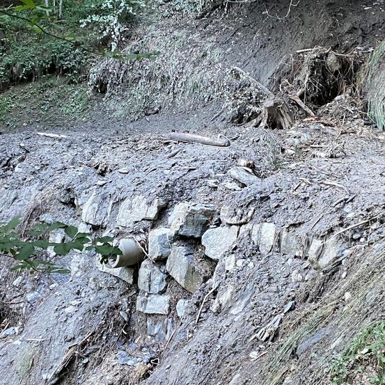 Ein schlammiger Hang mit verstreuten Felsen und einem umgestürzten Baumstamm, mit grünen Pflanzen im Hintergrund.