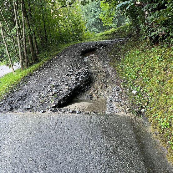 Eine unbefestigte Straße mit einem großen Schlagloch in der Mitte, umgeben von Bäumen und Gras.