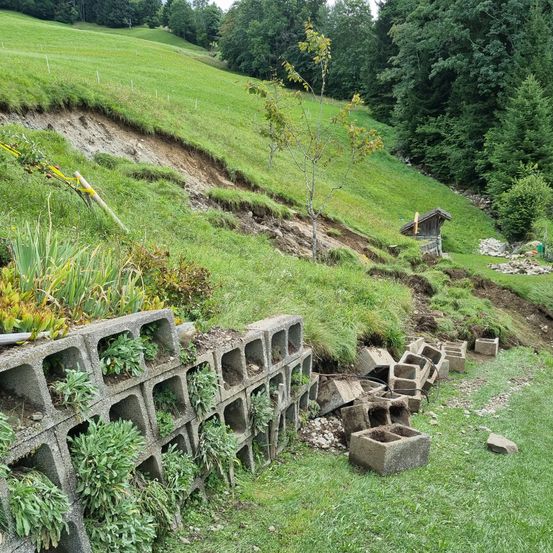 Ein Hang mit einem abschüssigen Rasenbereich, einigen Betonblöcken und einem kleinen Baum in der Mitte. In der Nähe befindet sich eine Holzstruktur.